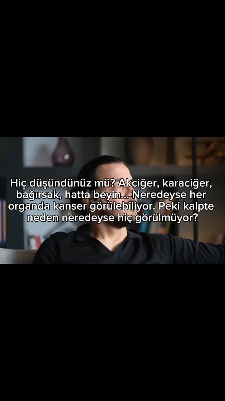 @Anatomi