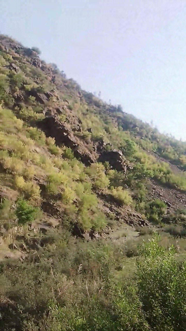 @zafar 52239