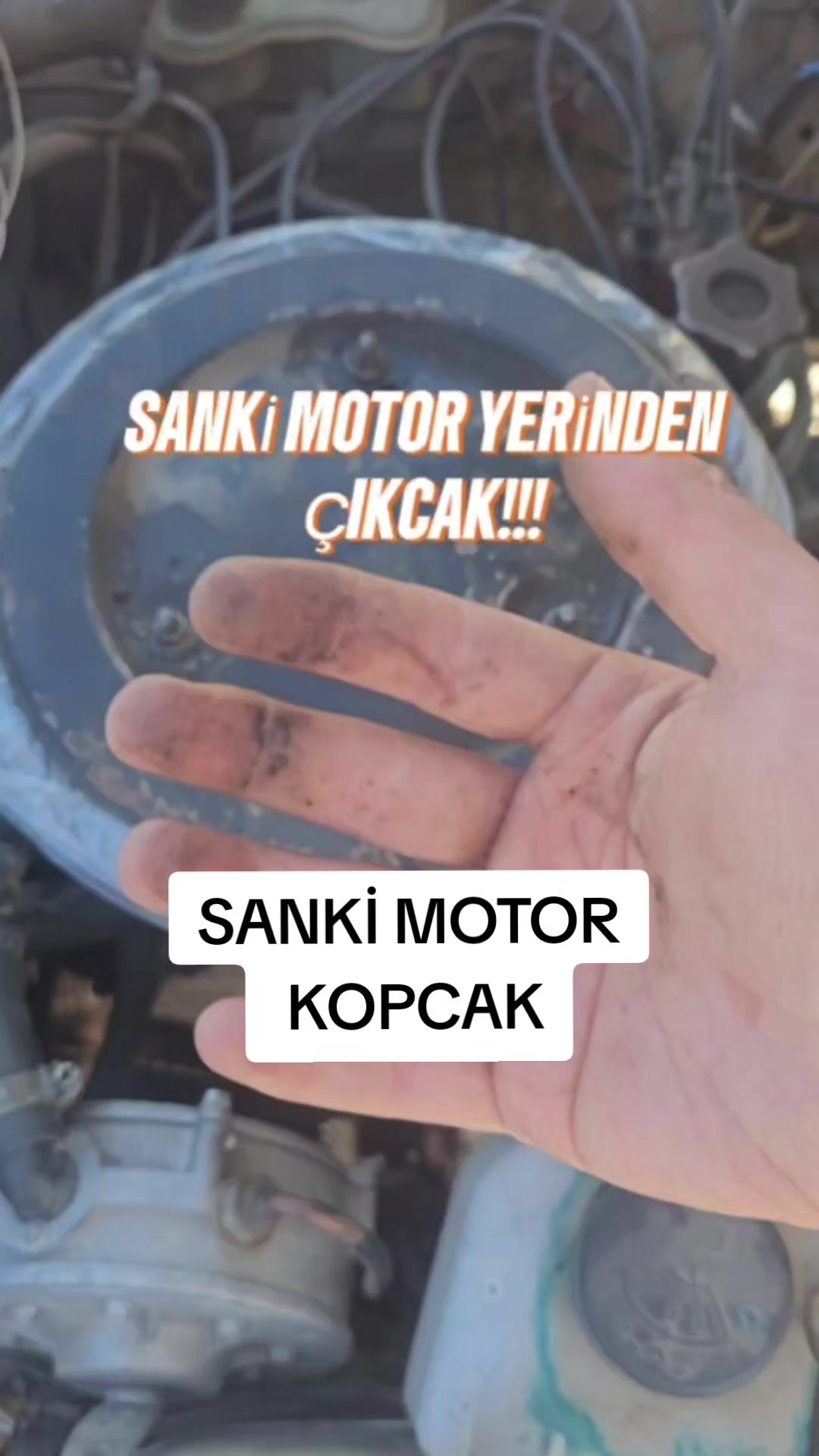 @FENOMEN GAZCI