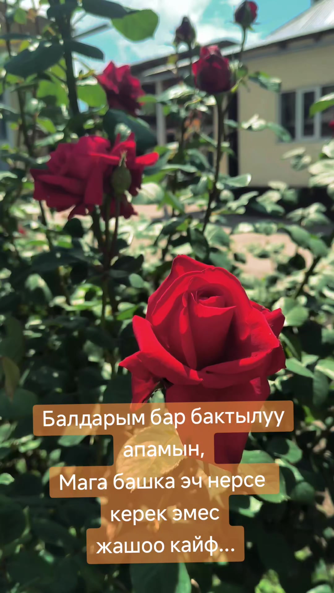 @💫💥Zhyparkul