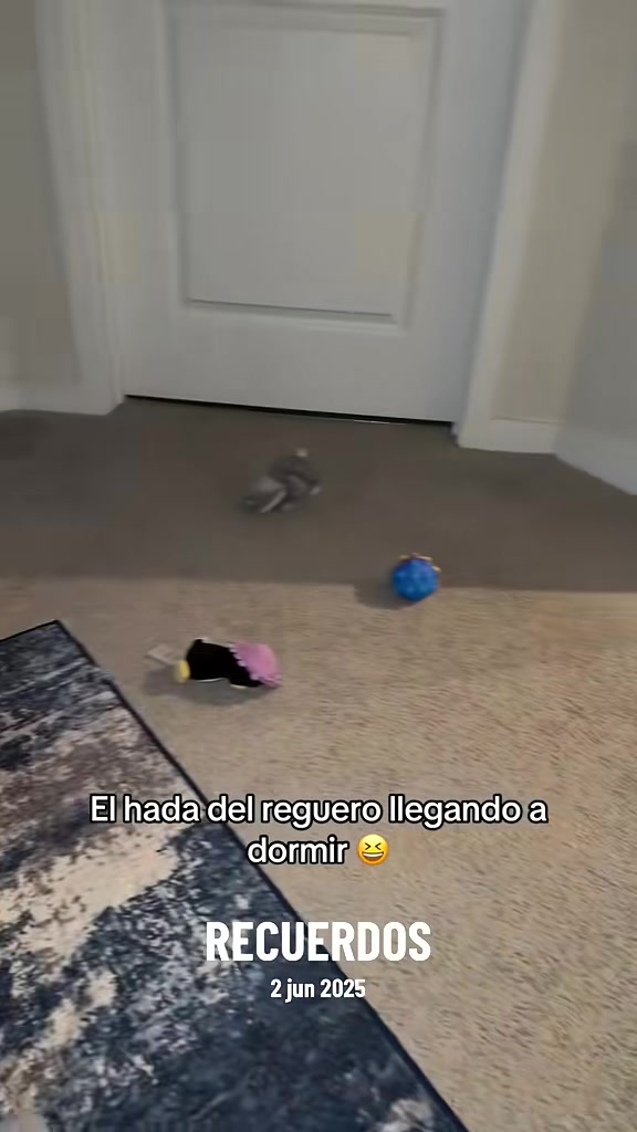 @Gloria Hernandez