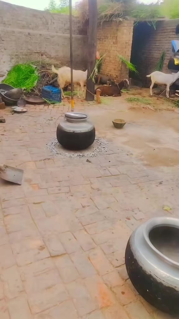 @zubairsh3