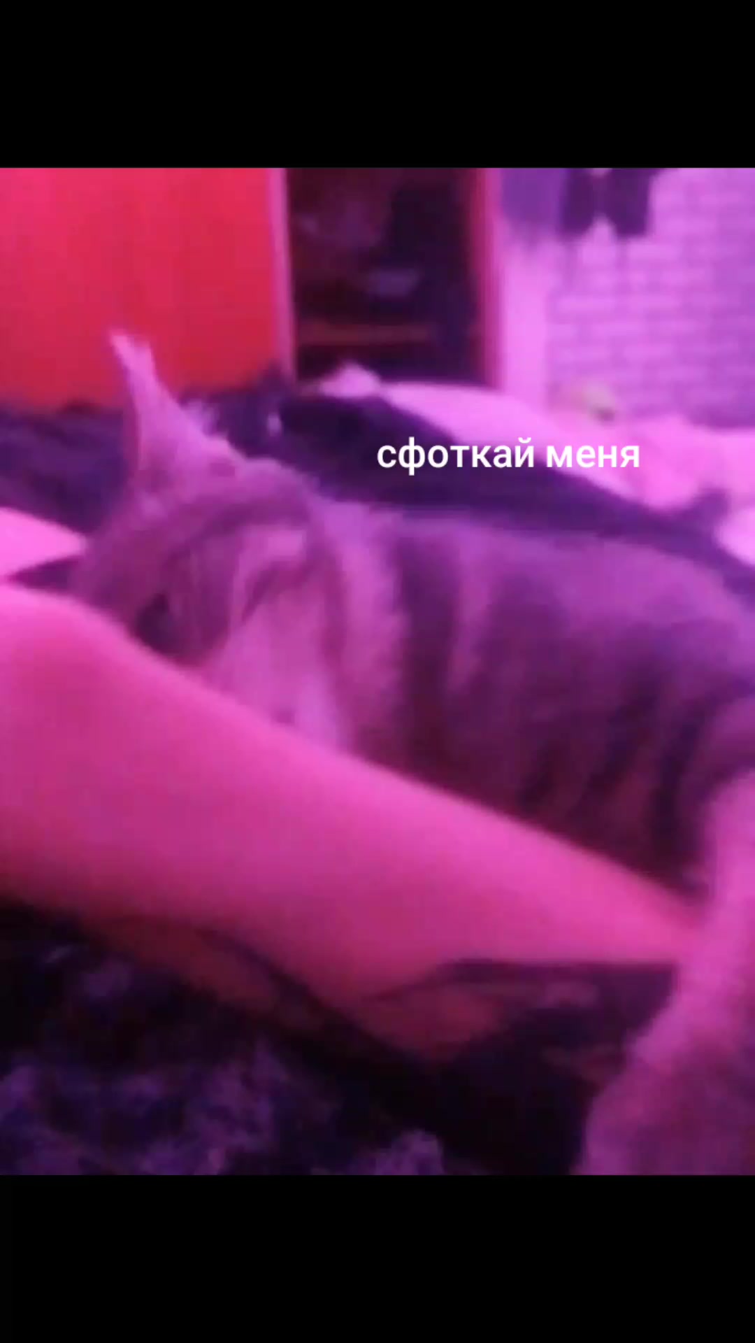 @тгк: темная кровь