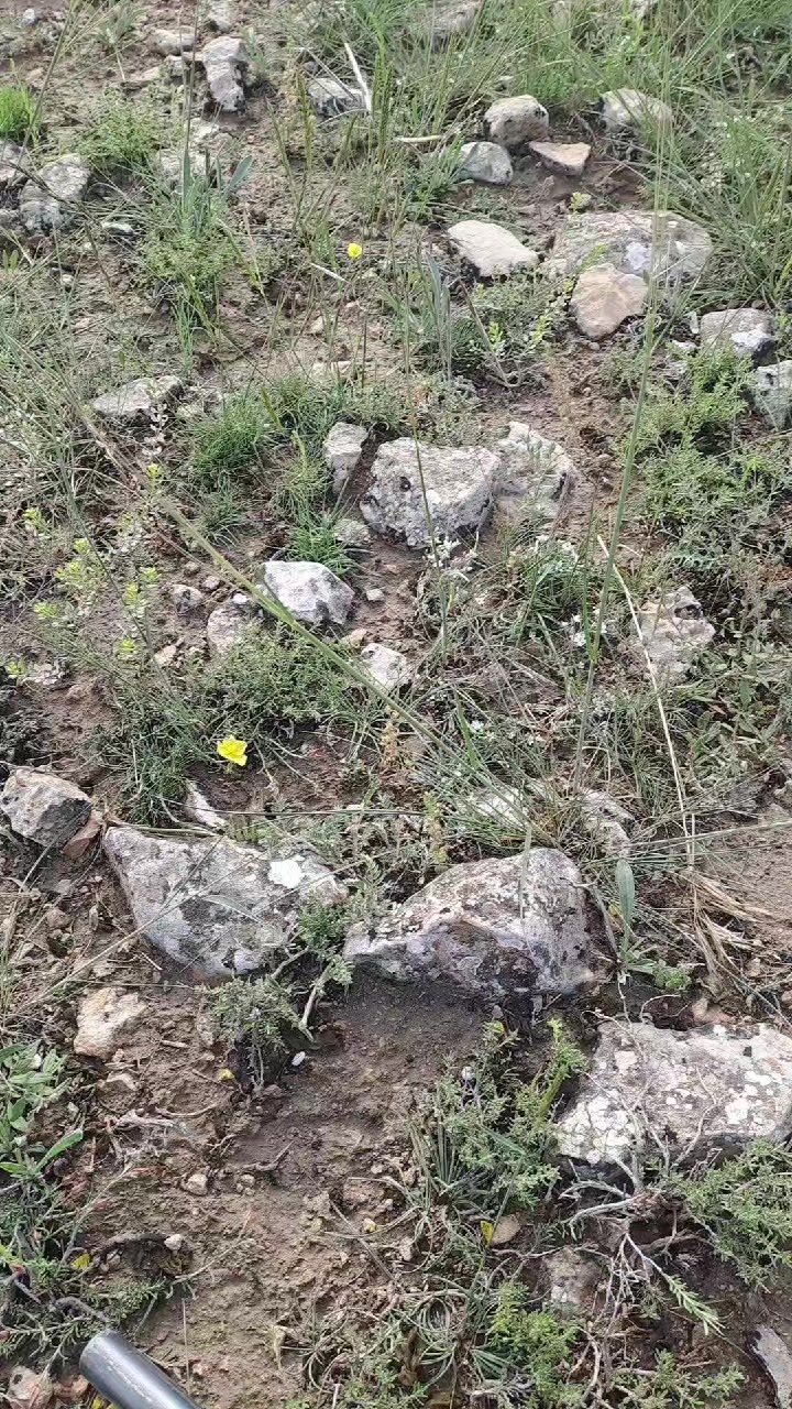 @HÜSEYİN63