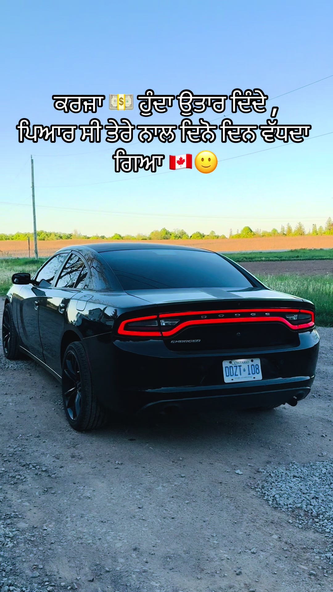 @vehlijanta761