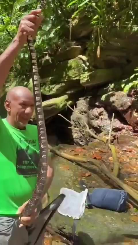 @crawlingspider