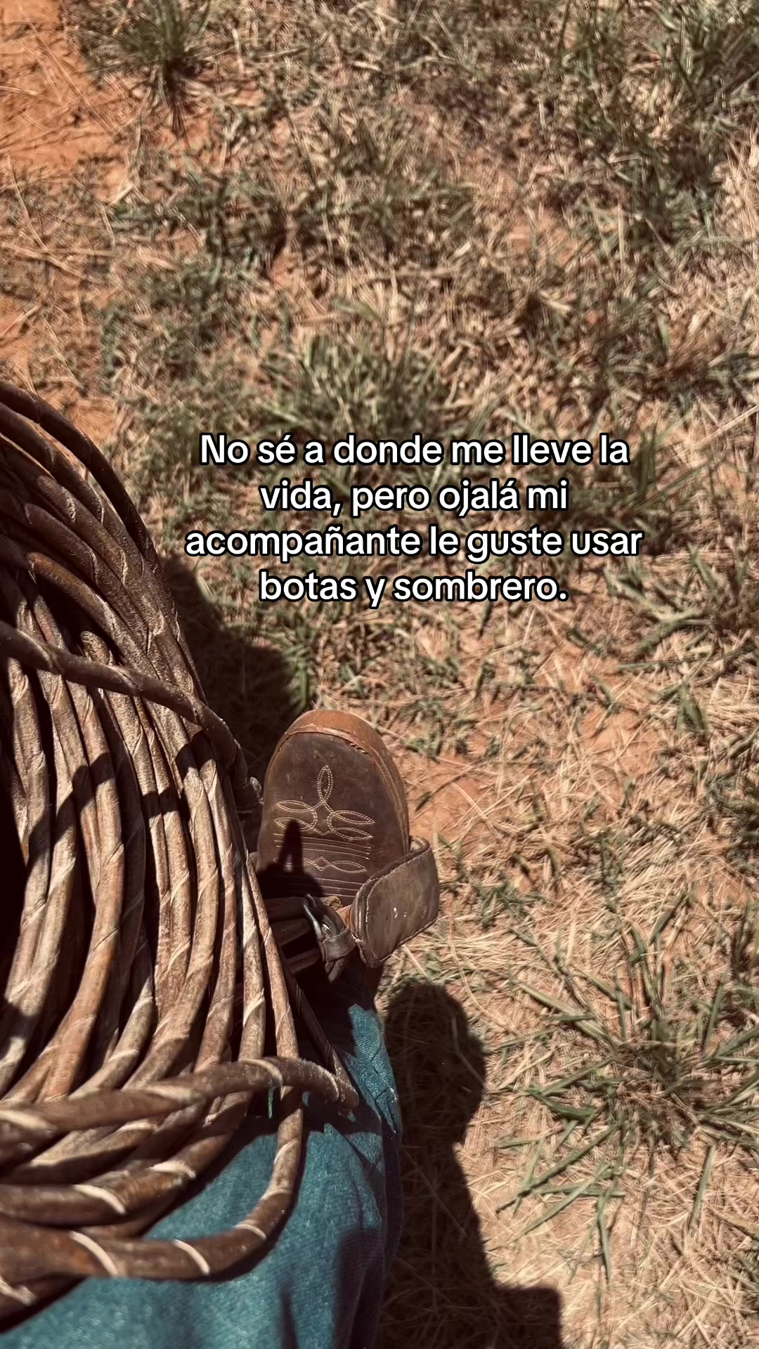 @Manuel Perez