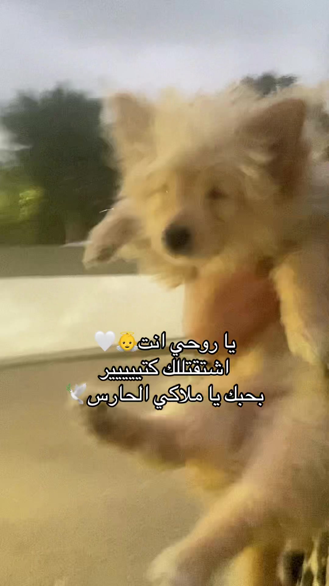 @Nura