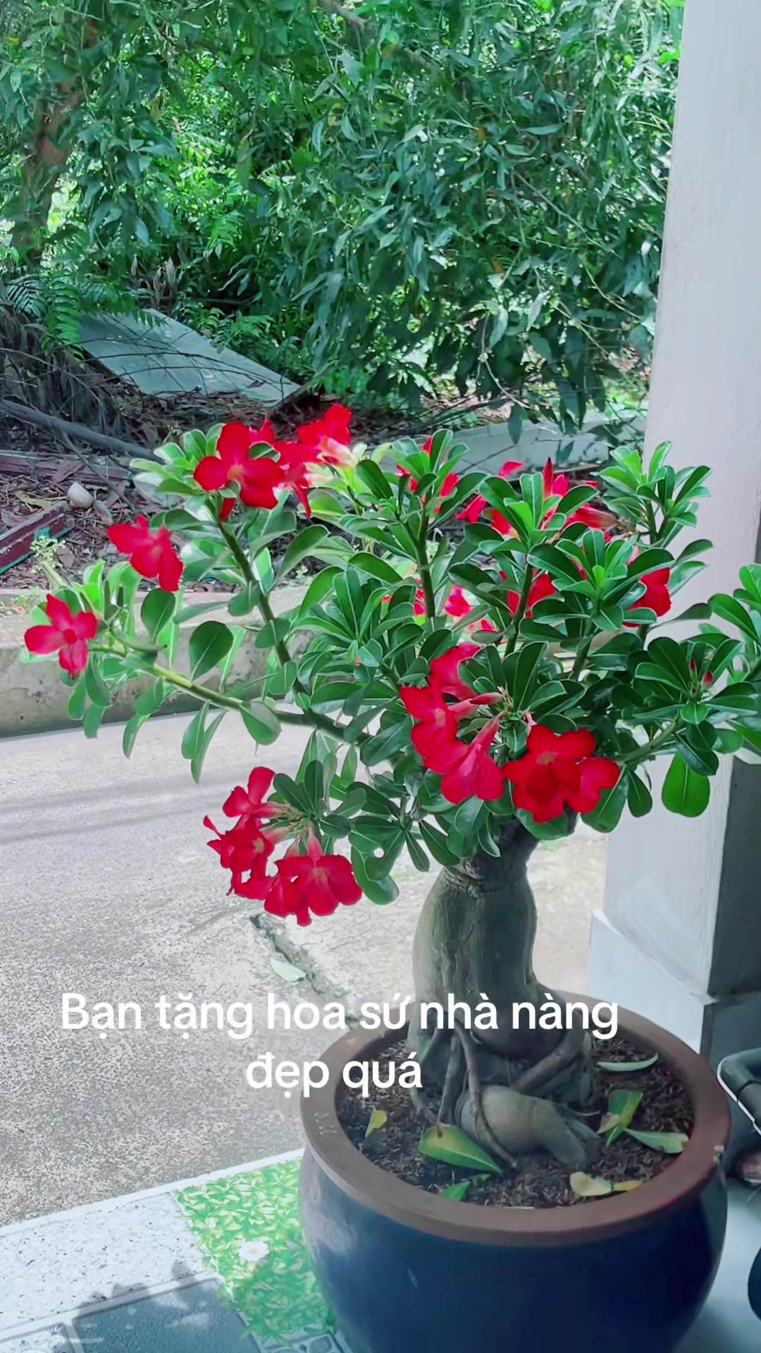 @🍭kẹo 🍭ngọt 🍭ng&agrave;o 🍭