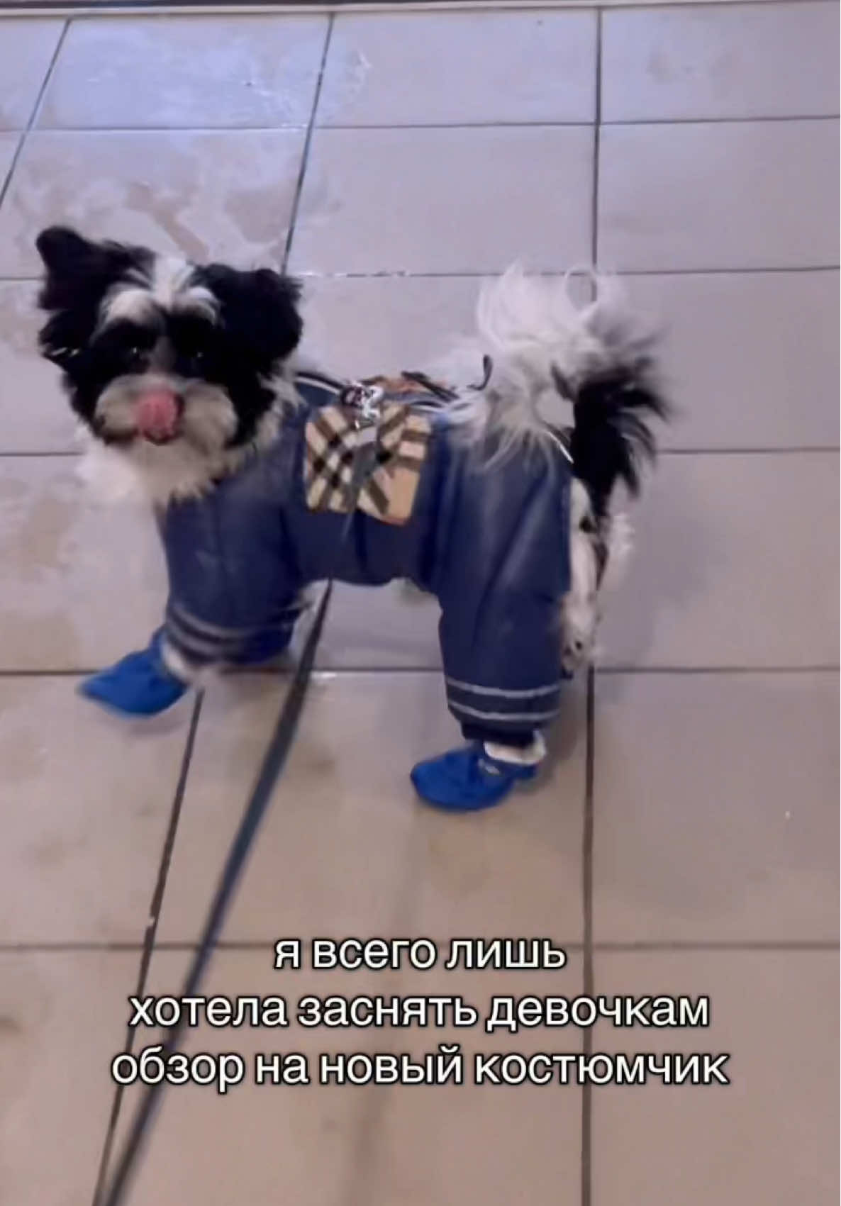 @ㄥ乇丂ㄚ卂