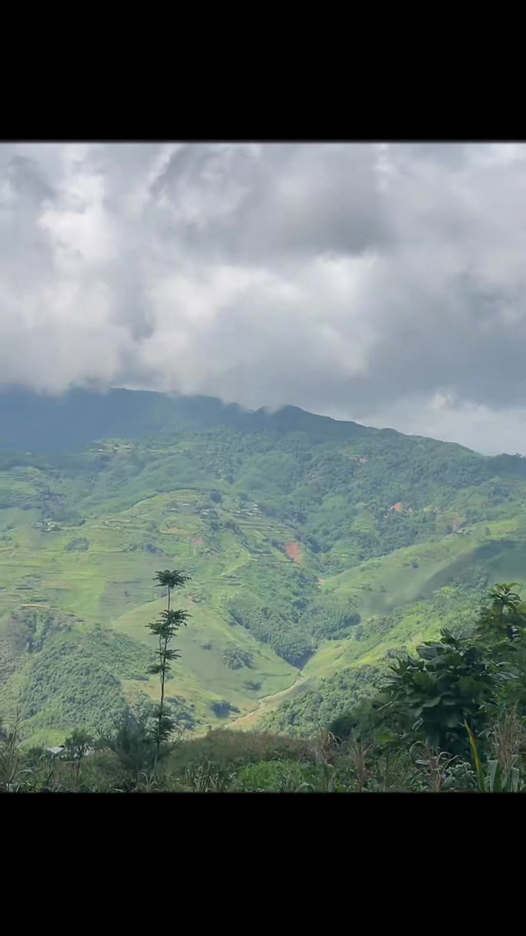 @LÍU 🇻🇳☣️