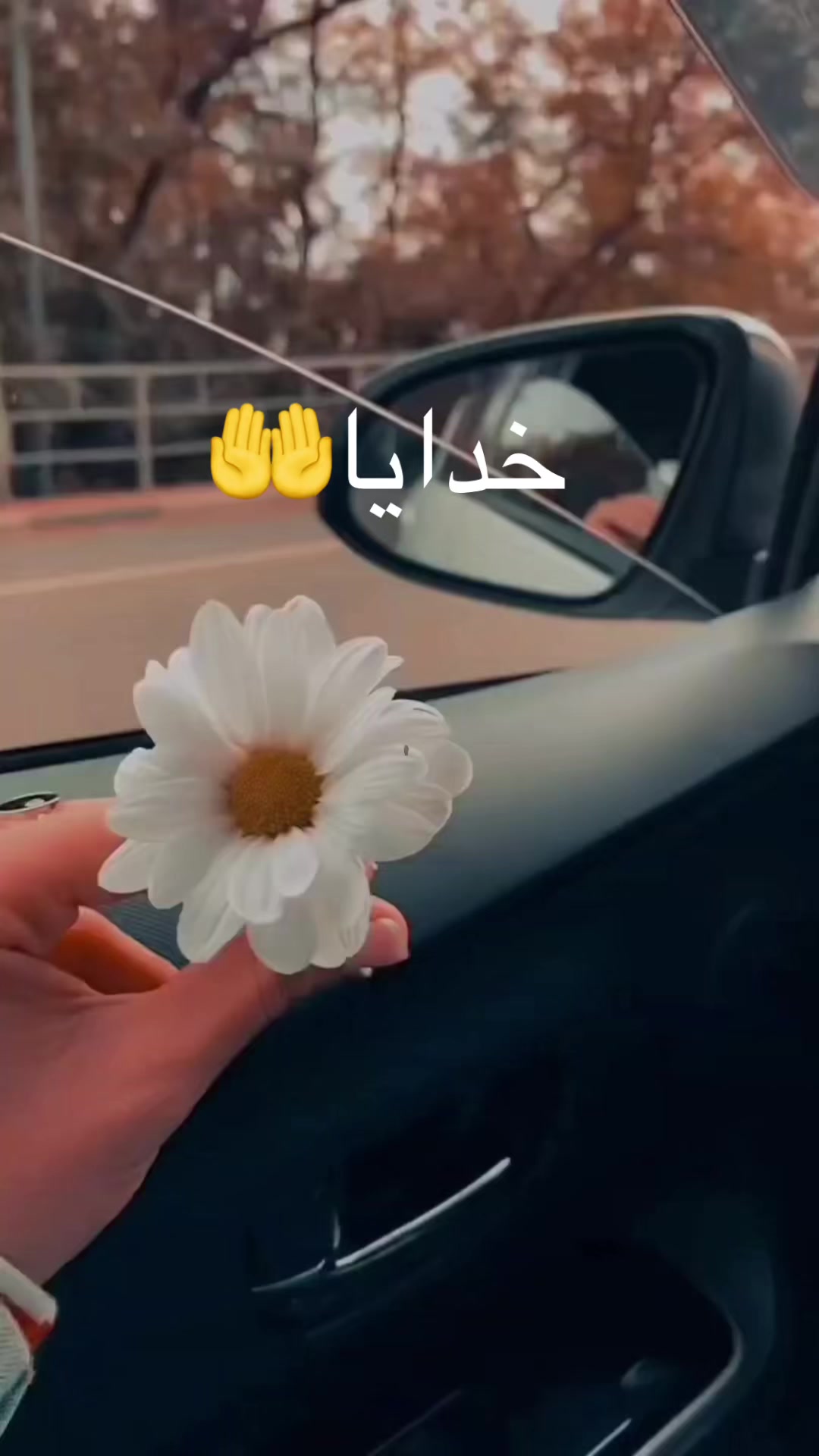 @Setareh