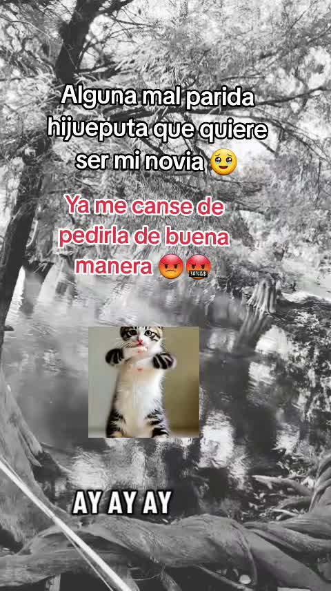 @Gabrielito 502