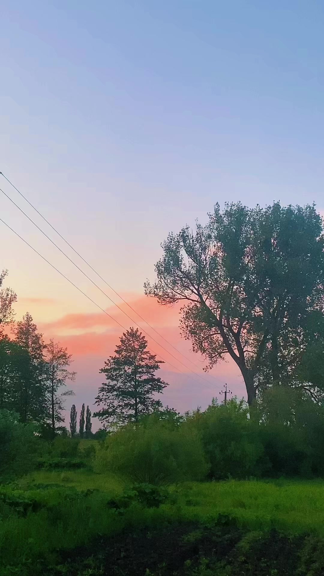 @Відьма 🐦&zwj;🔥