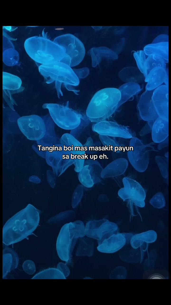 @🖤