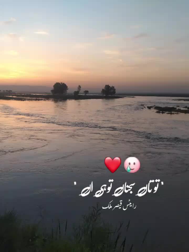 @Zahra Hussain
