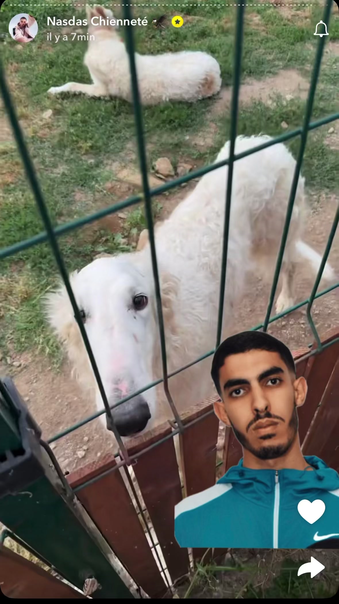 @rediffvideodrole