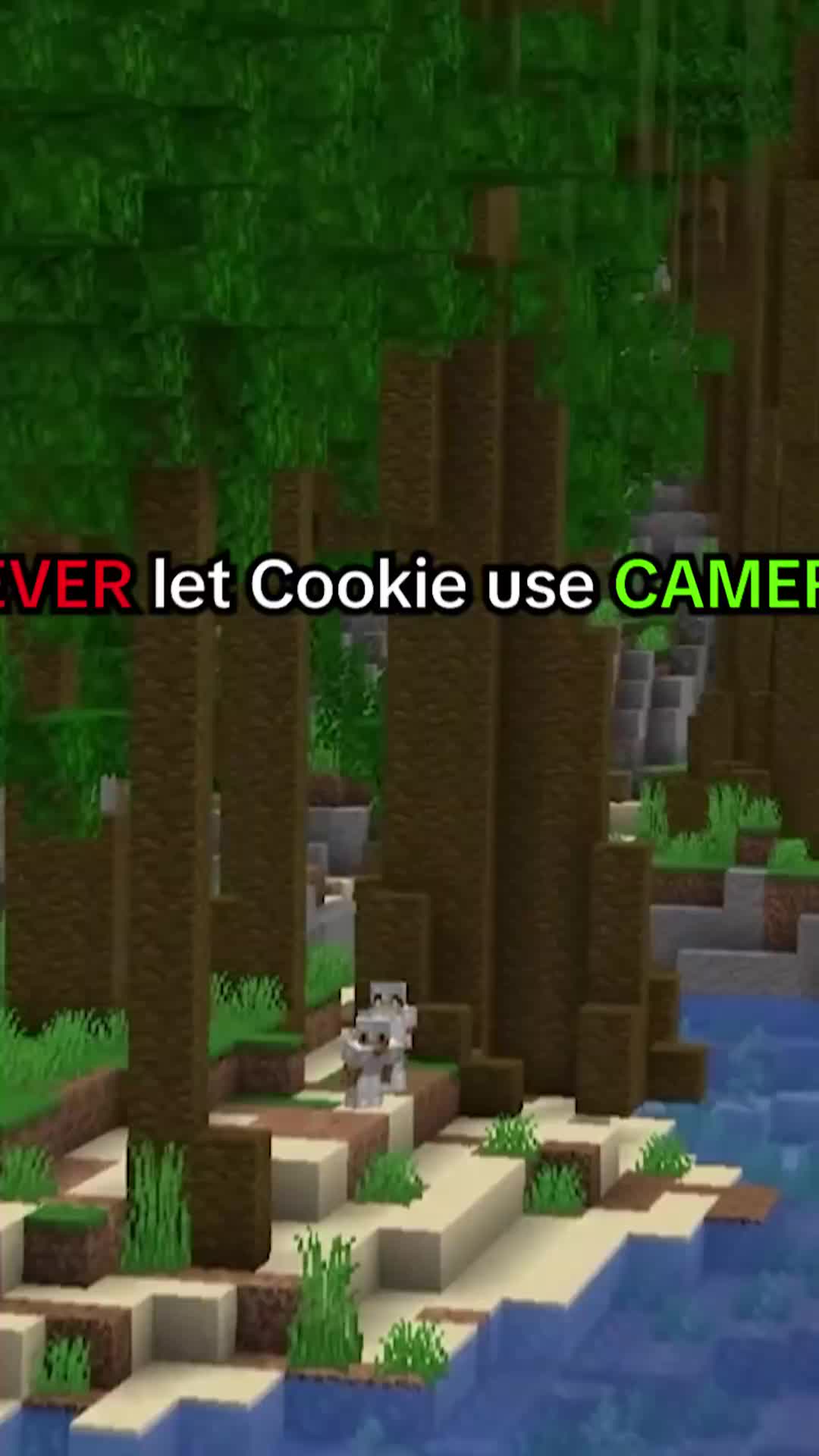 @aCookieGod
