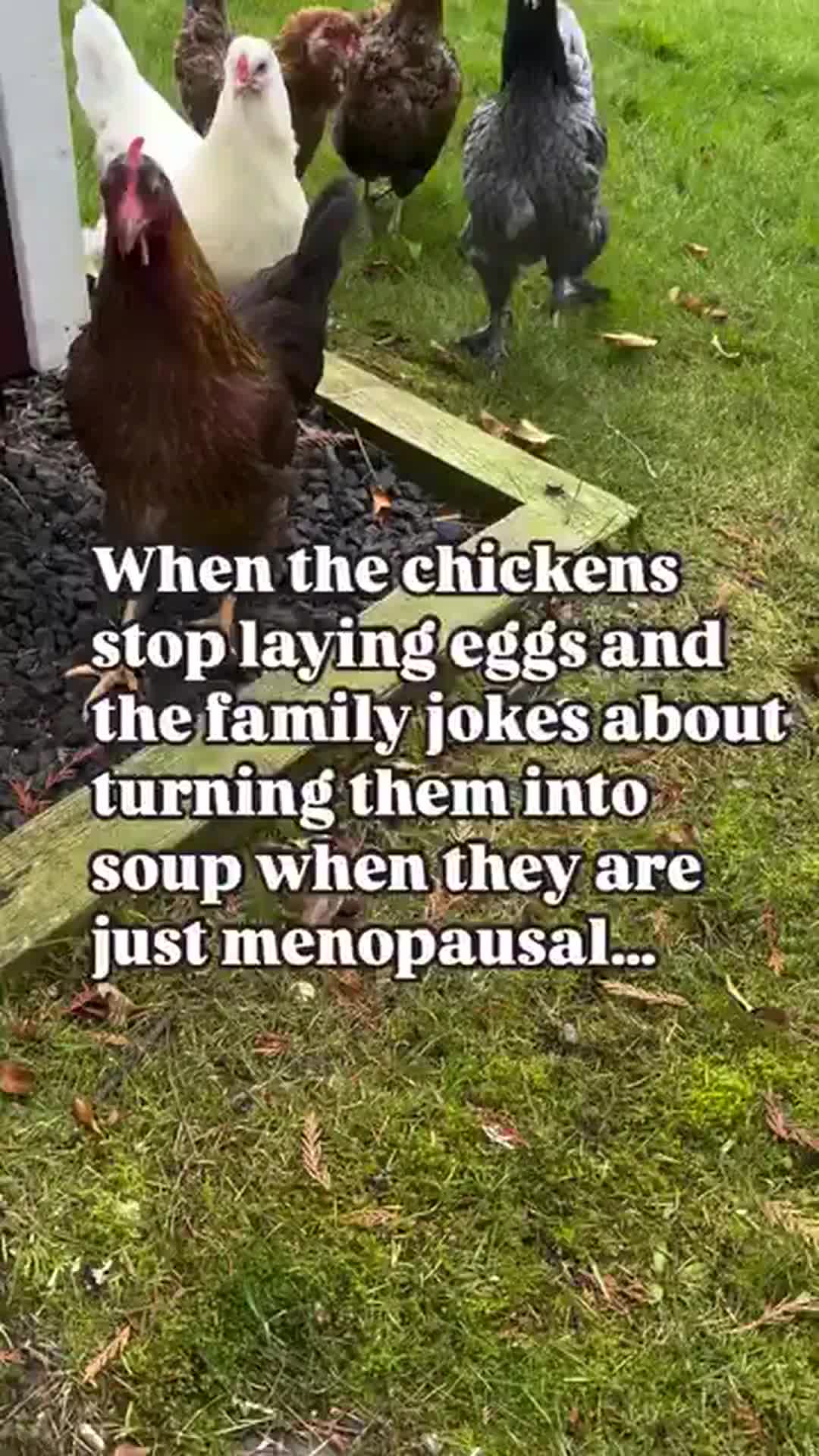 @womenmasteringmidlife