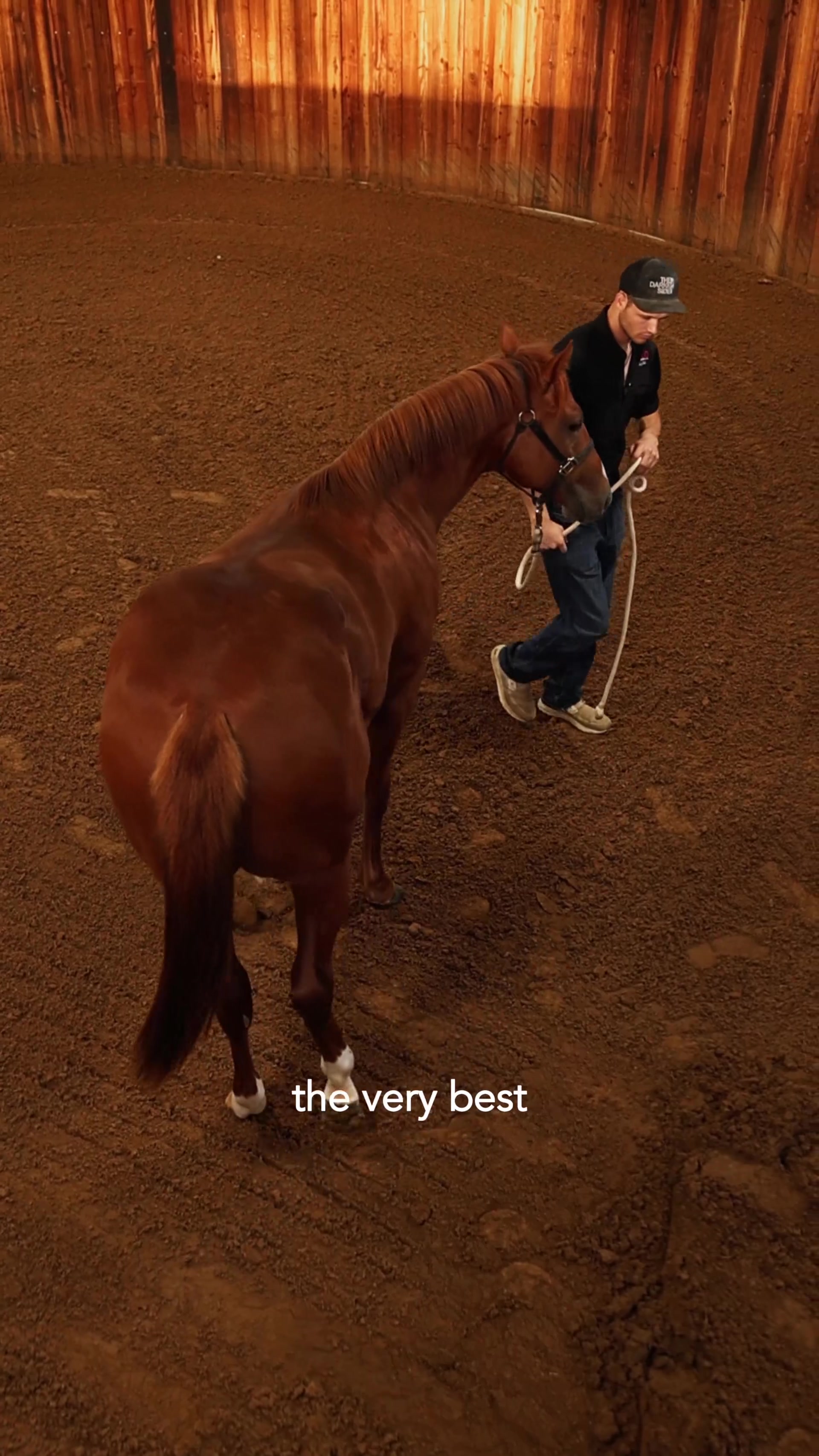 @Solo Select Horses