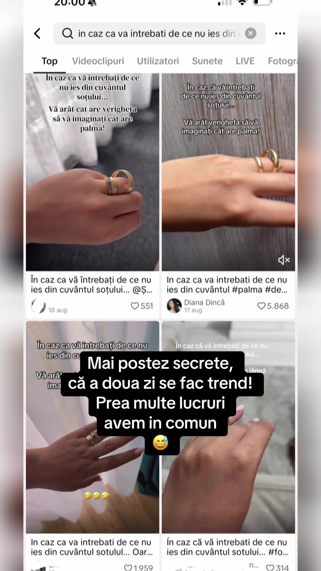 @Diana Dincă