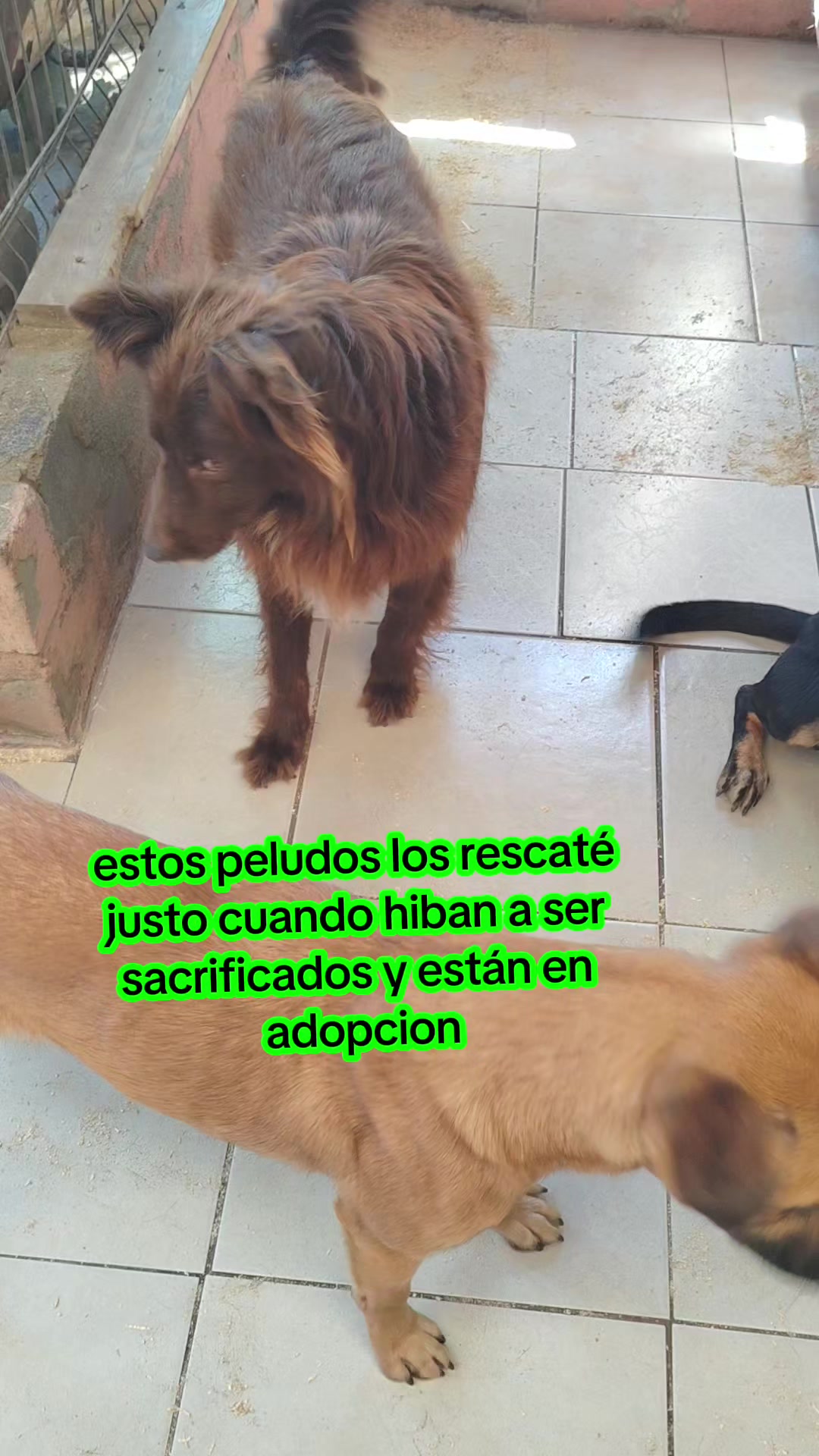 @Gloria Arellano Ramirez