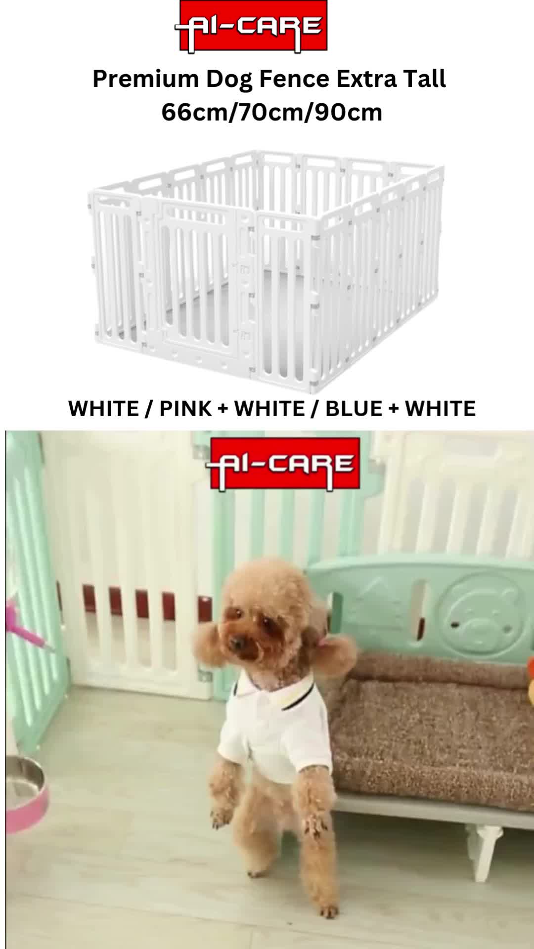 @Aicare Pet Studio