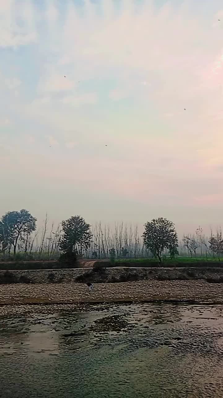 @Rohail 888