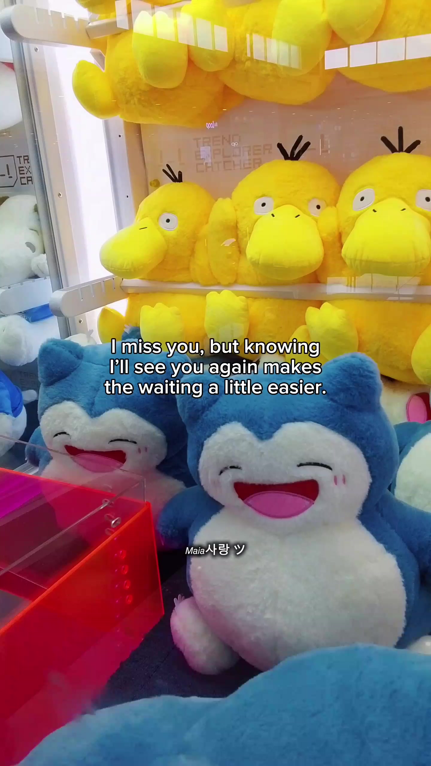 @𝘔𝘢𝘪𝘢사랑 ツ