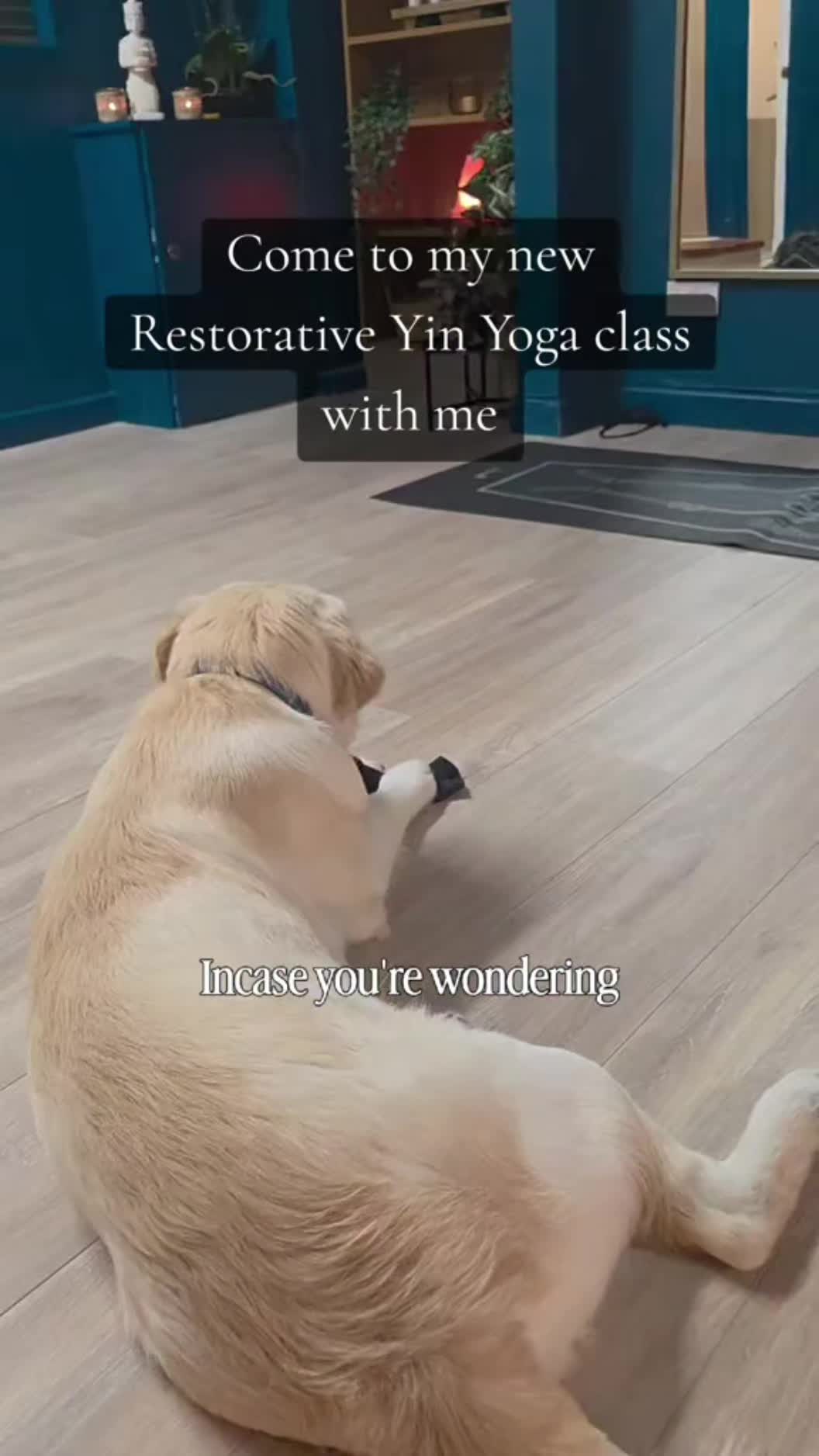 @METAL Wellness