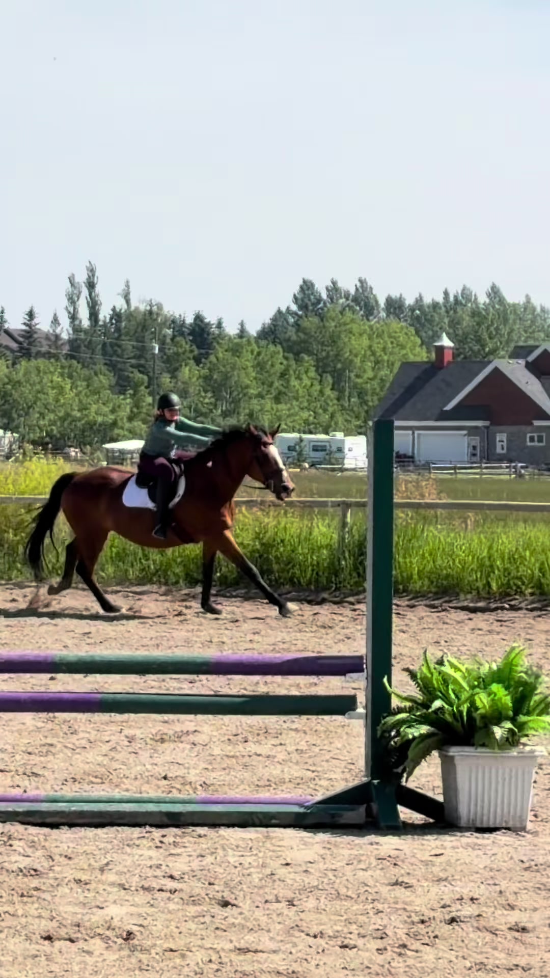 @Kaya_Equine _Molly