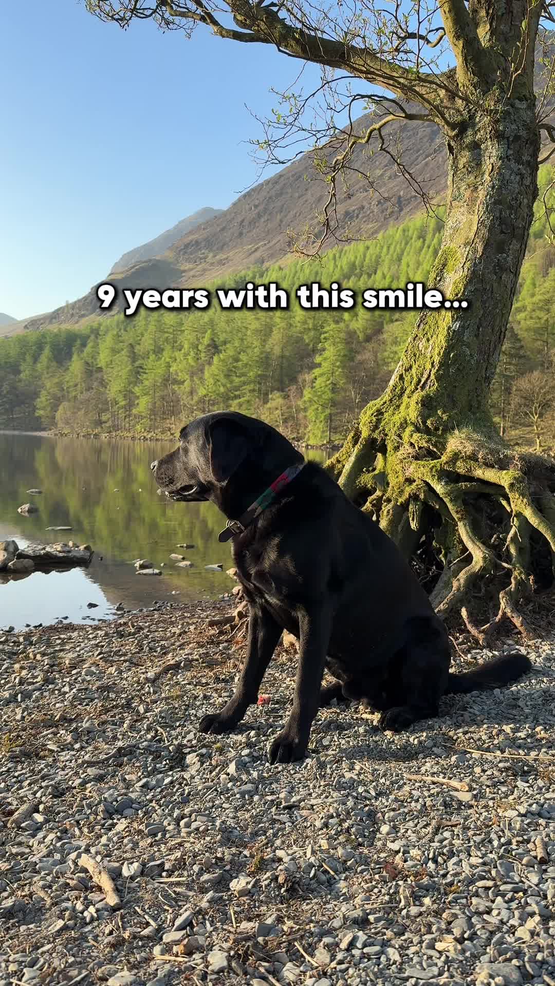 @Denzel The Labraseal