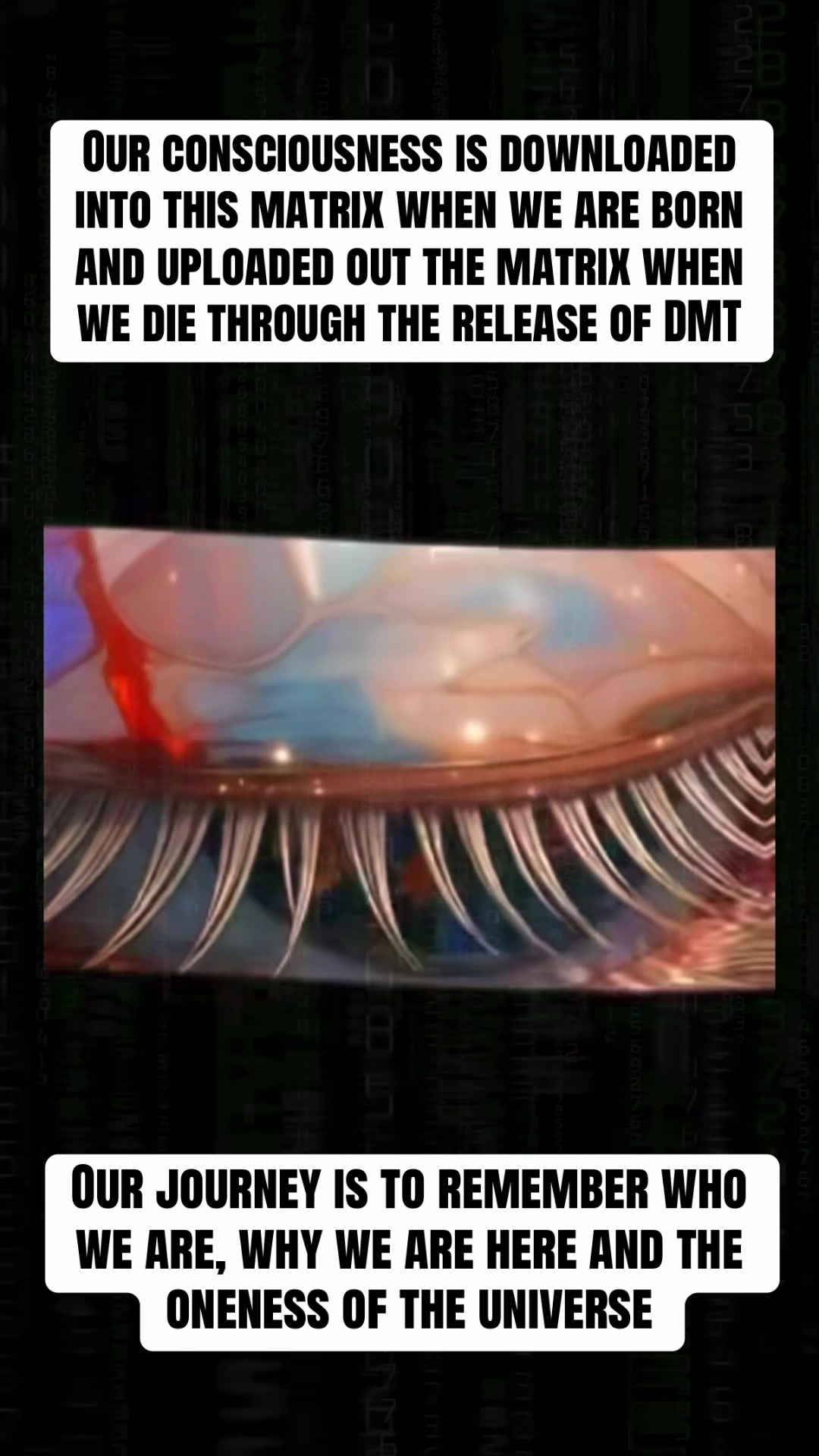@Mind Awake | Reality Decoded