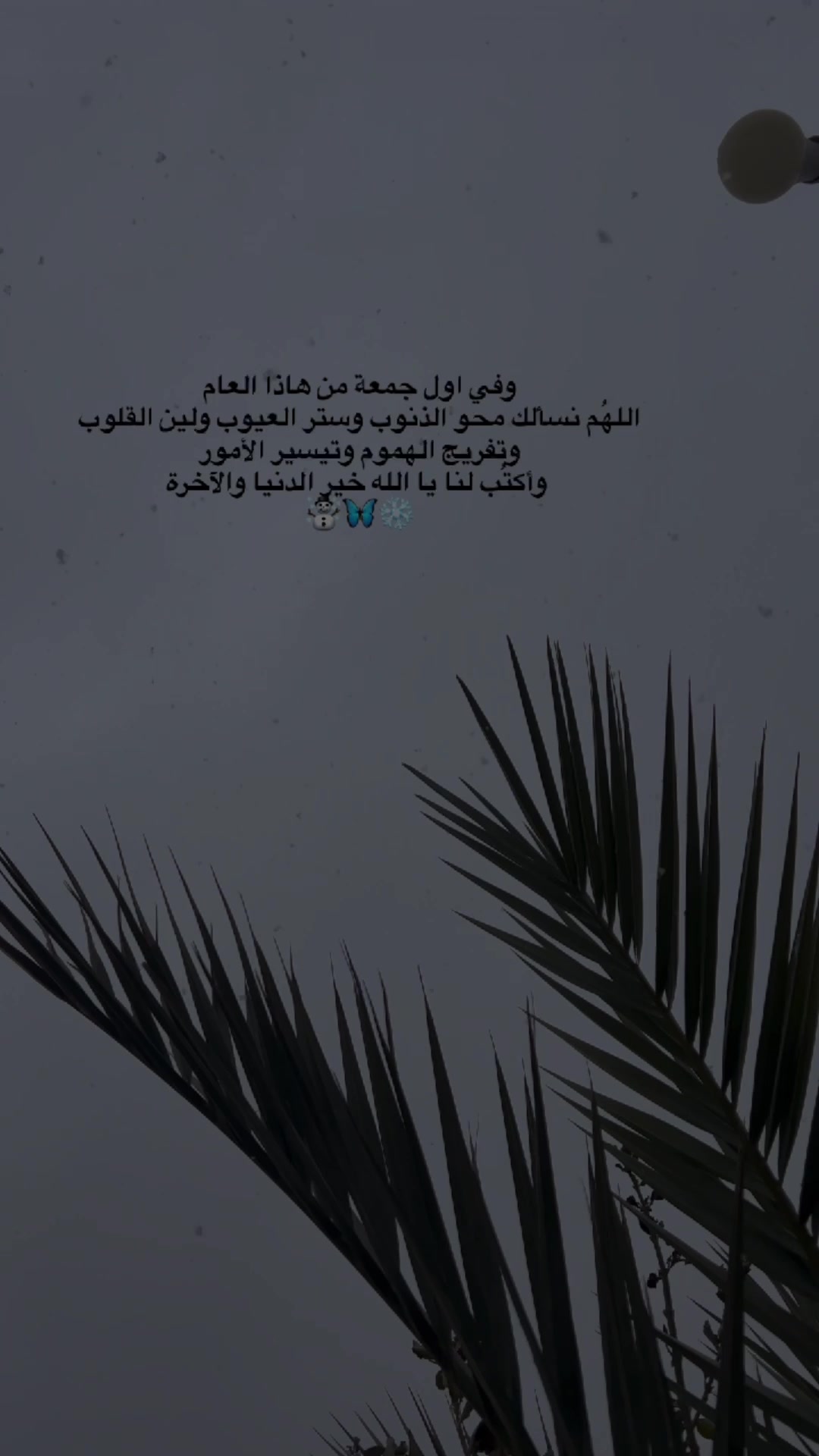 @لحظة الأمل 🫀🤍