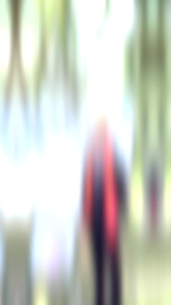 @aluvial47