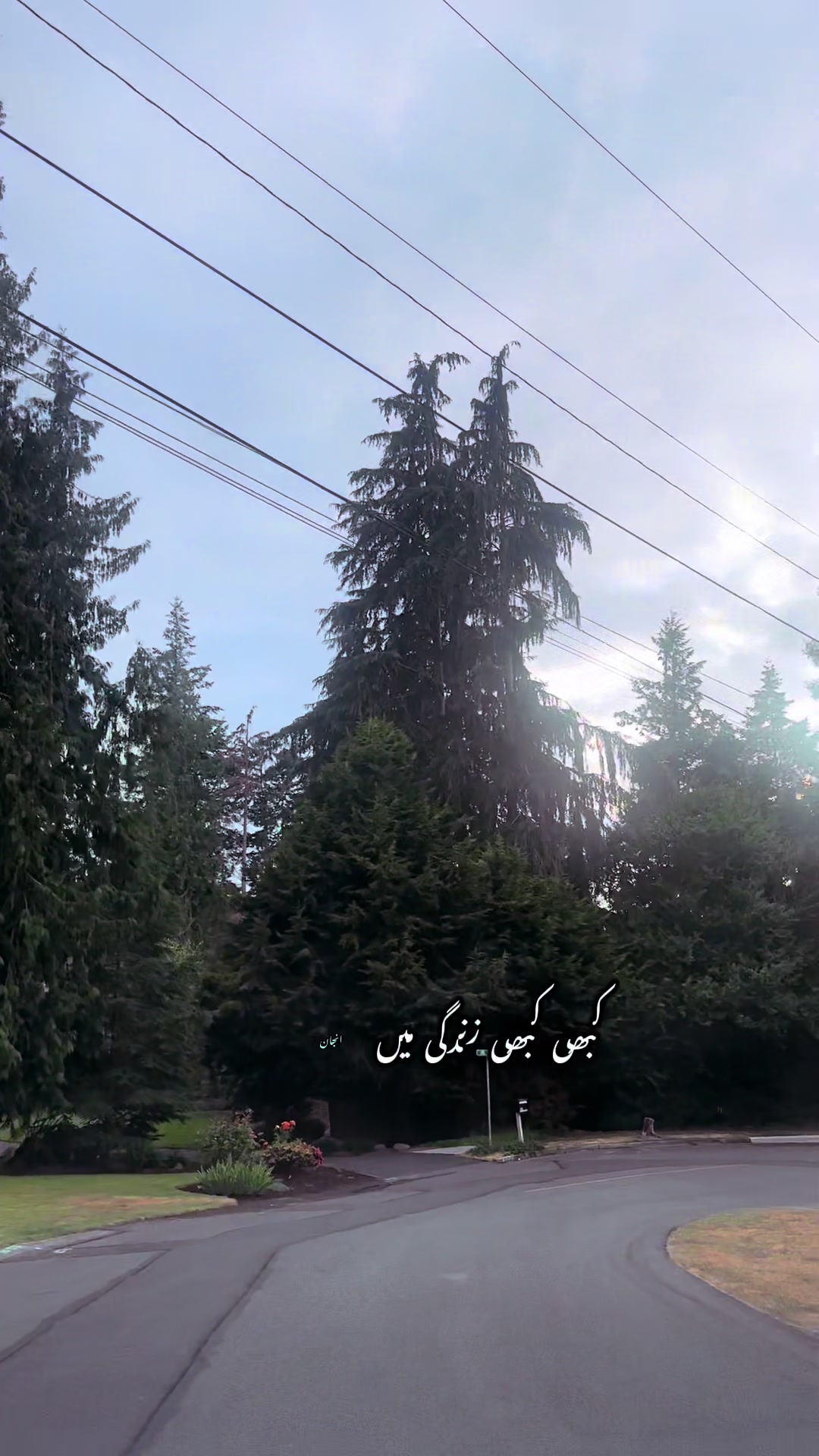 @Syeda-G 007