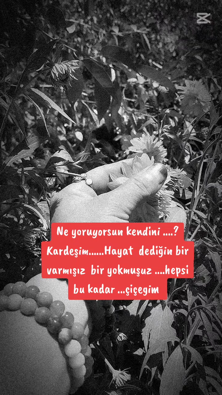 @🌹🌹ELA  G&Ouml;ZL&Uuml; 🌹🌹