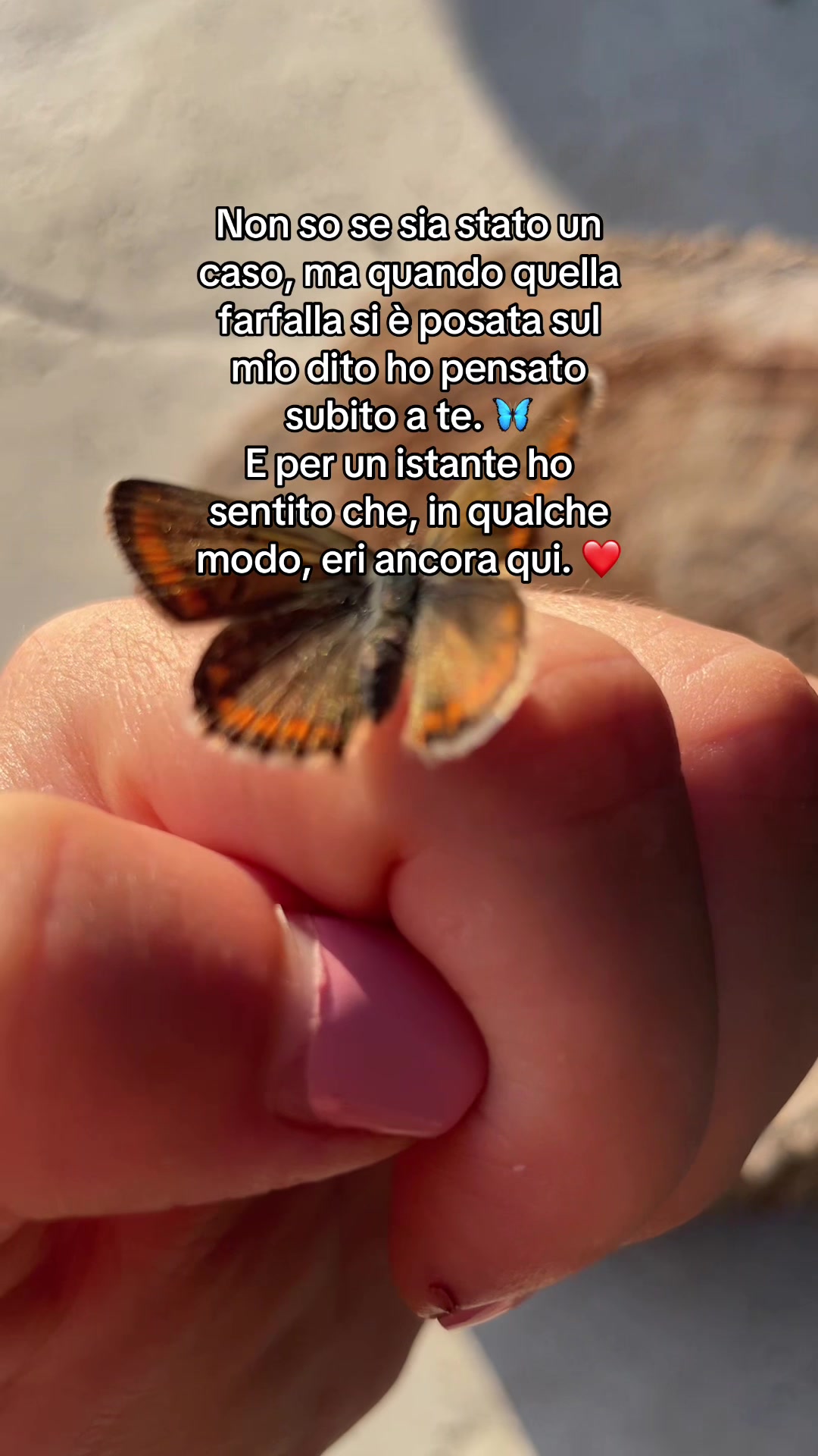 @Arianna Bibaj