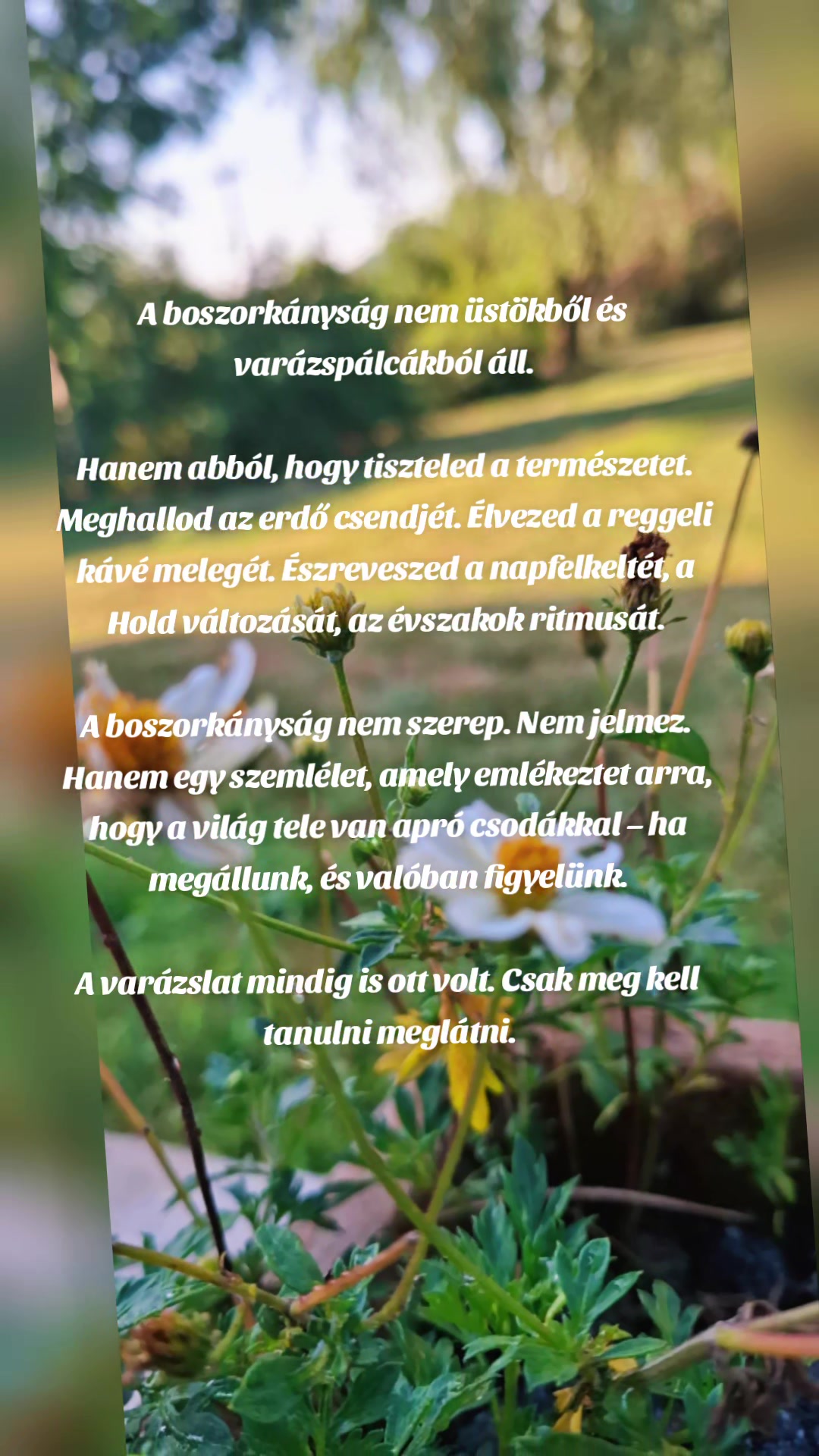 @🌒🔮D&ouml;d&ouml;llevir&aacute;g 🧙&zwj;♀️🌔