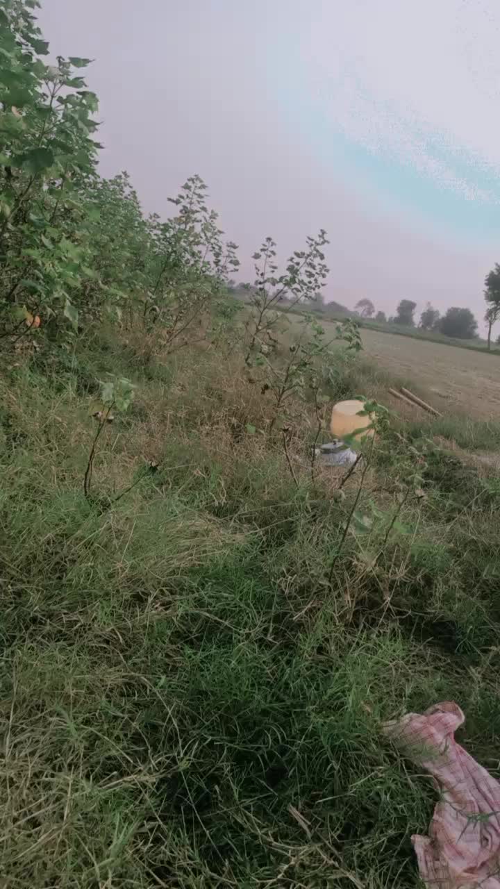 @MIAN ZIAOULLAH