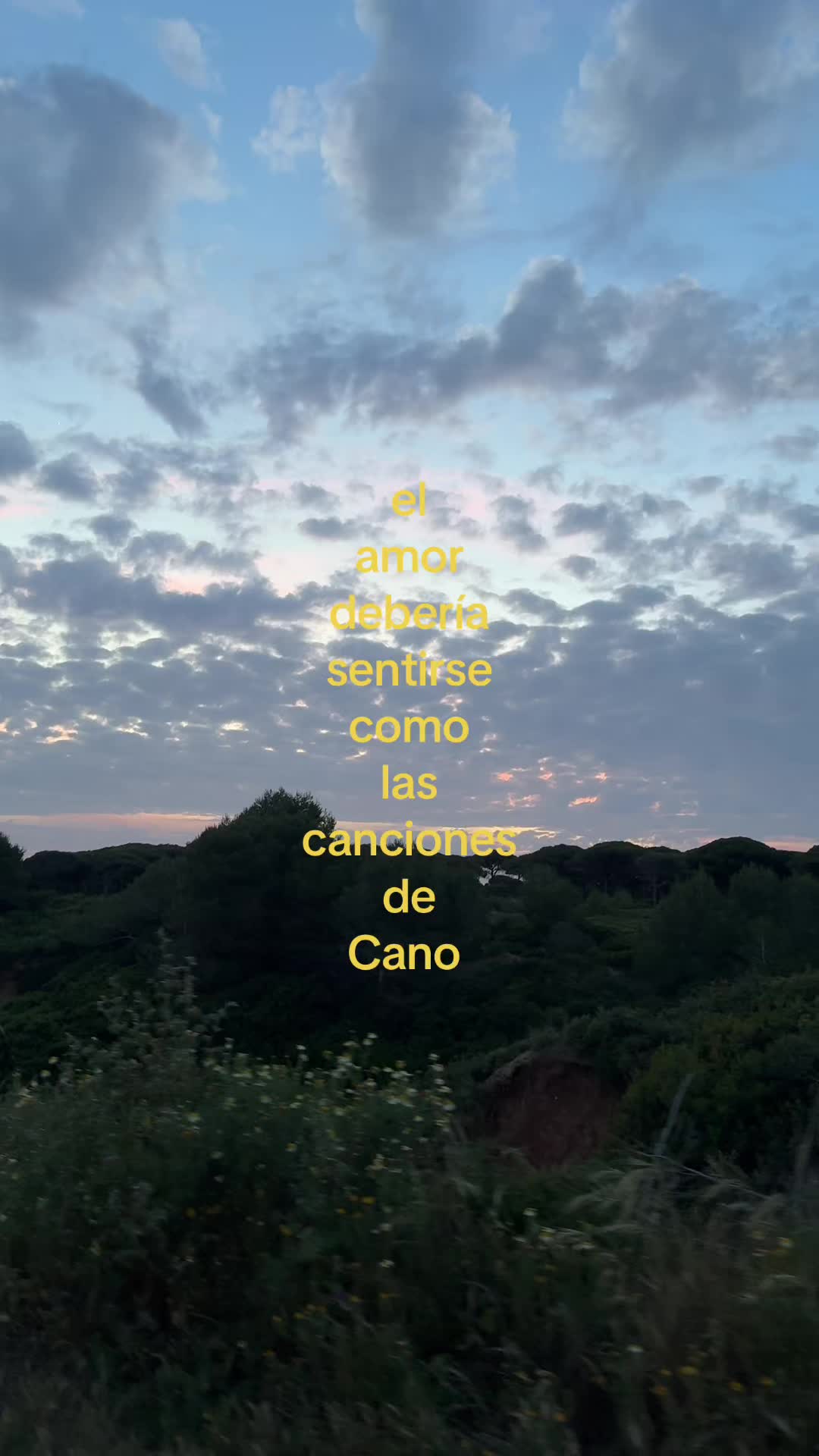 @canoxsiempree