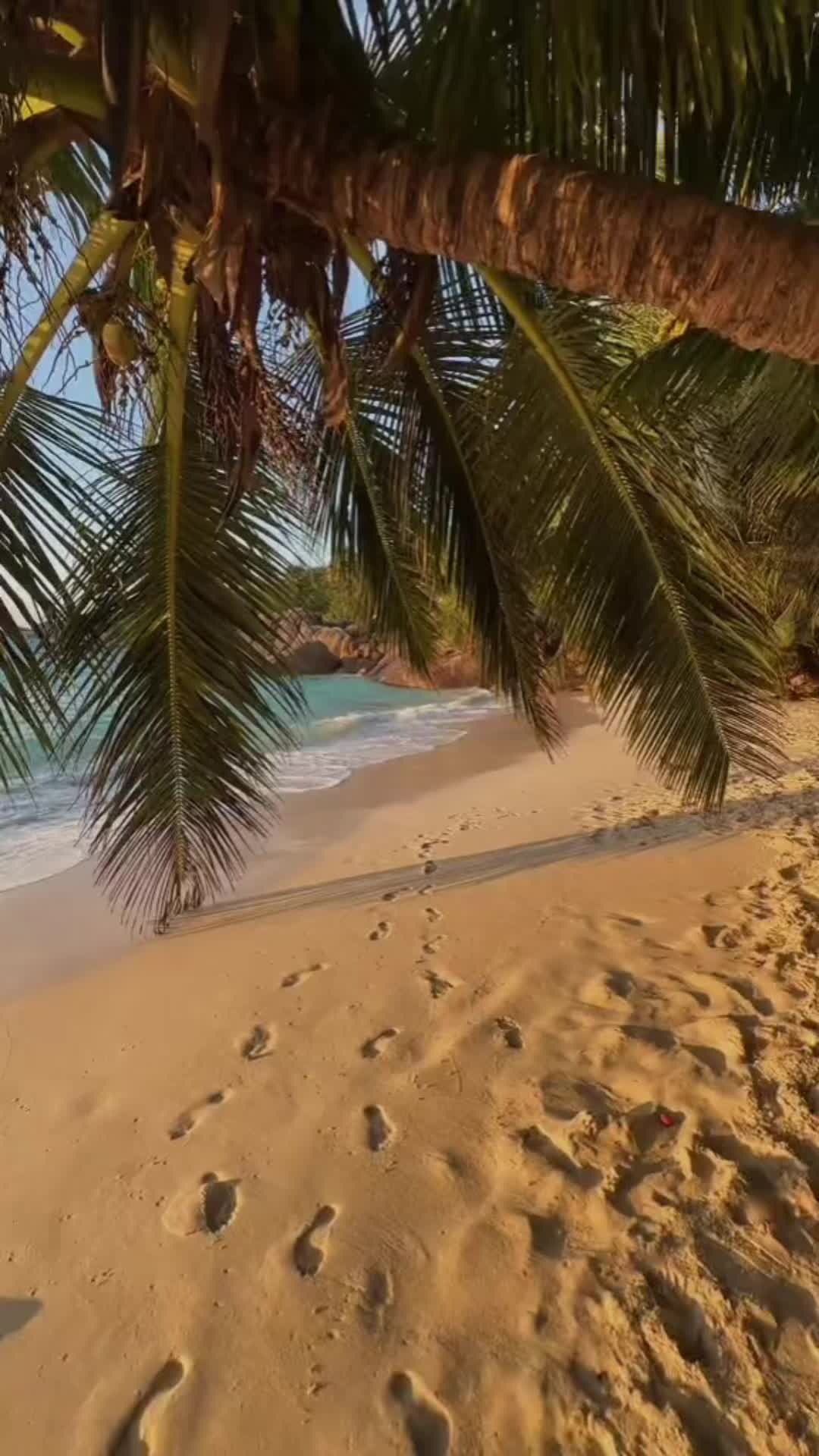 @kbibi