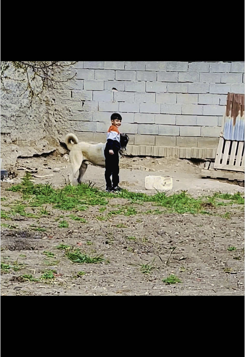 @Gökhan Güleş