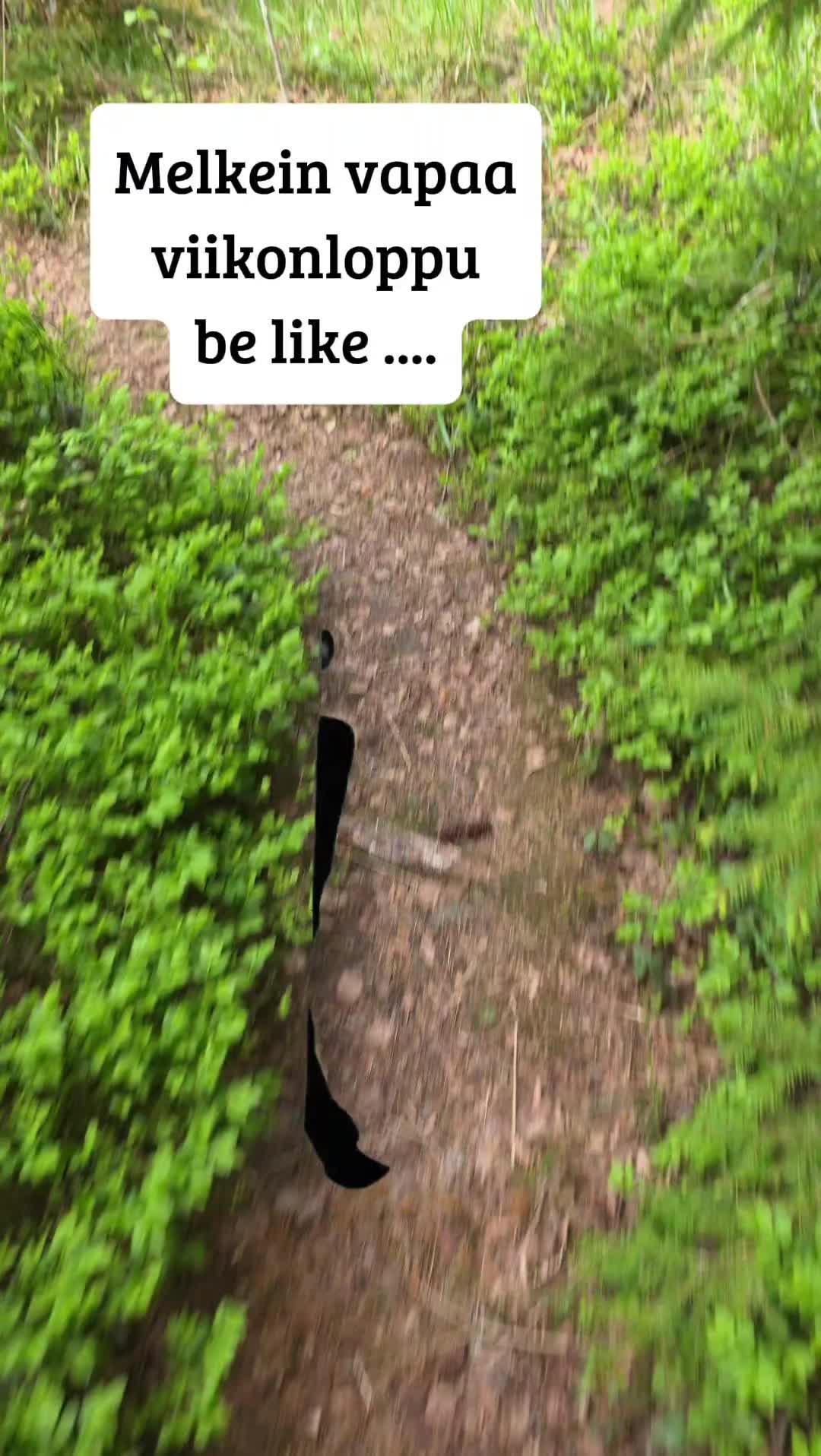 @Erja