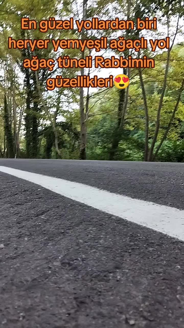 @🌹GÜL HATUN🌹