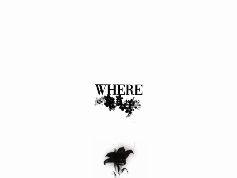 @𝓐ᥫ᭡lexi