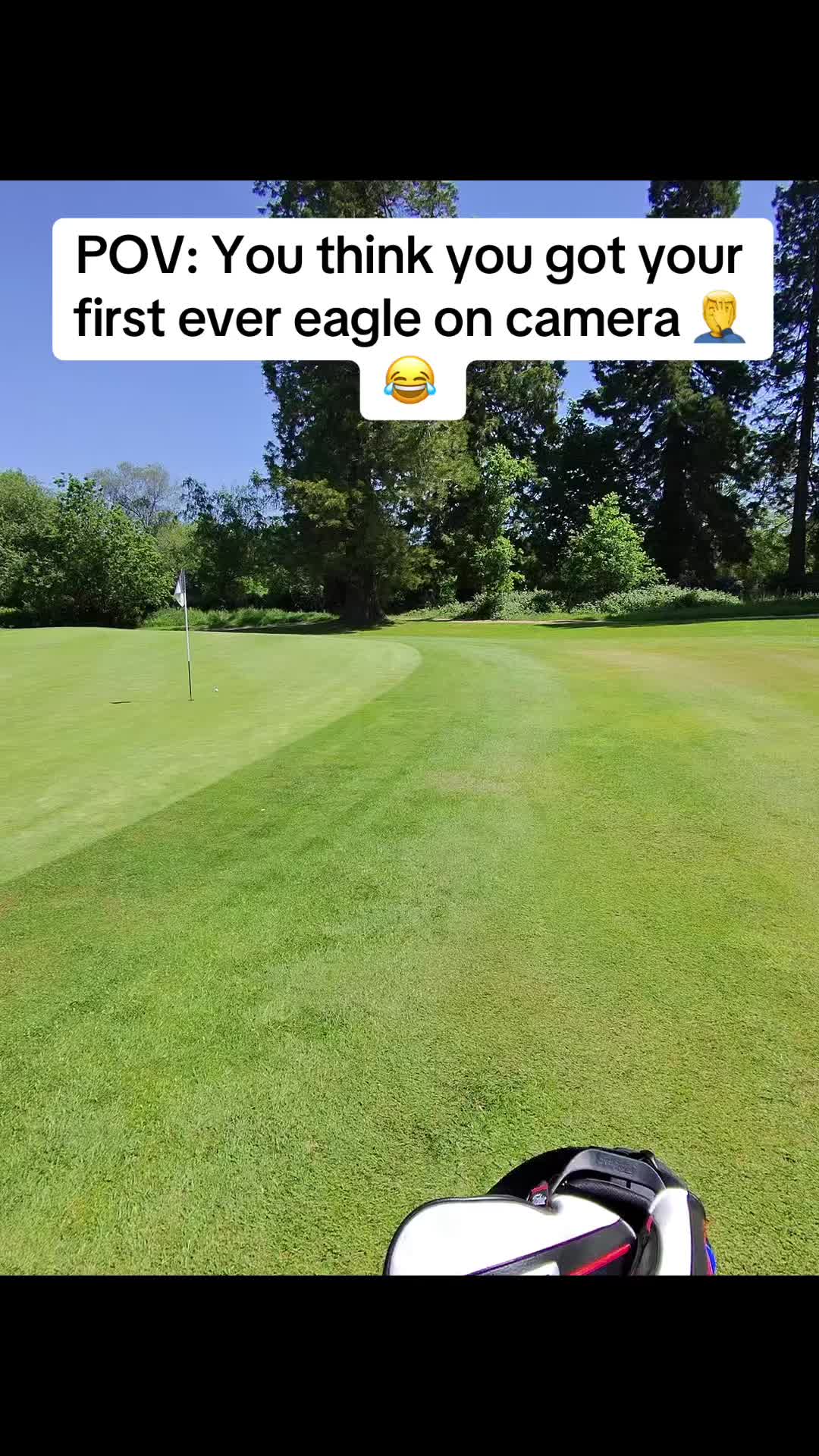 @GolfBite
