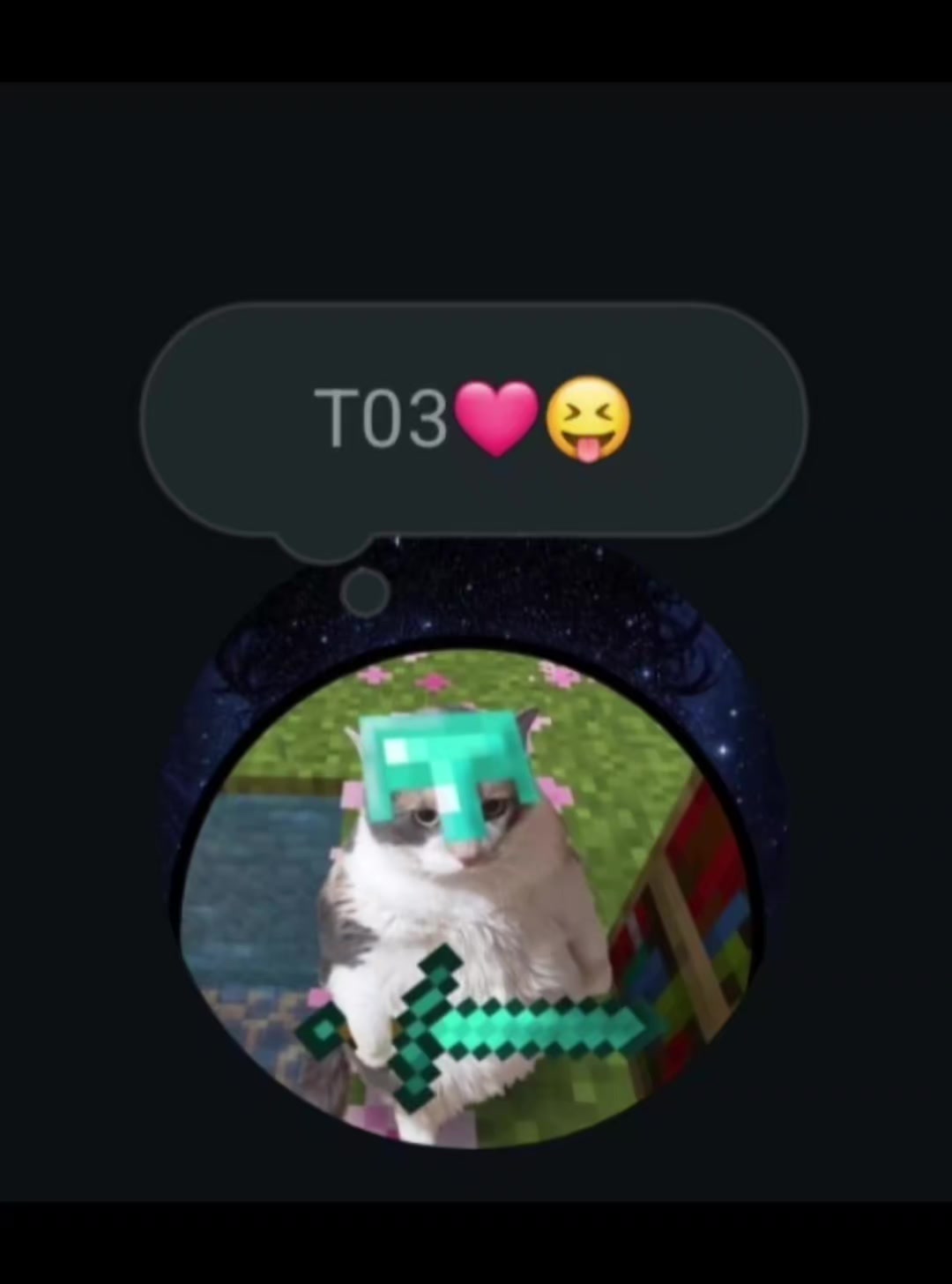 @gato de combate