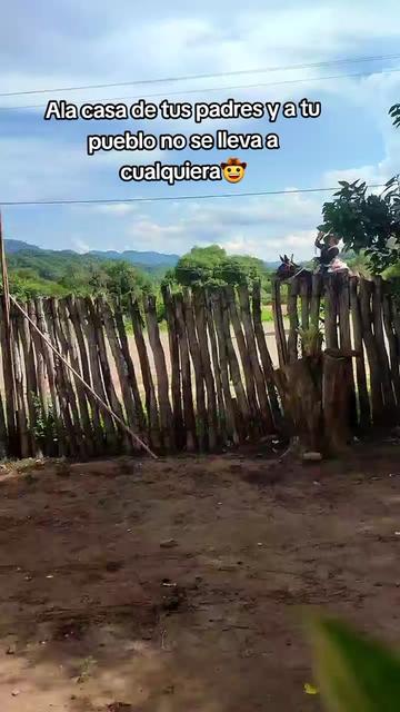 @𝐒𝐜𝐚𝐫𝐥𝐞𝐭𝐭 ִֶָ☾💚🤠