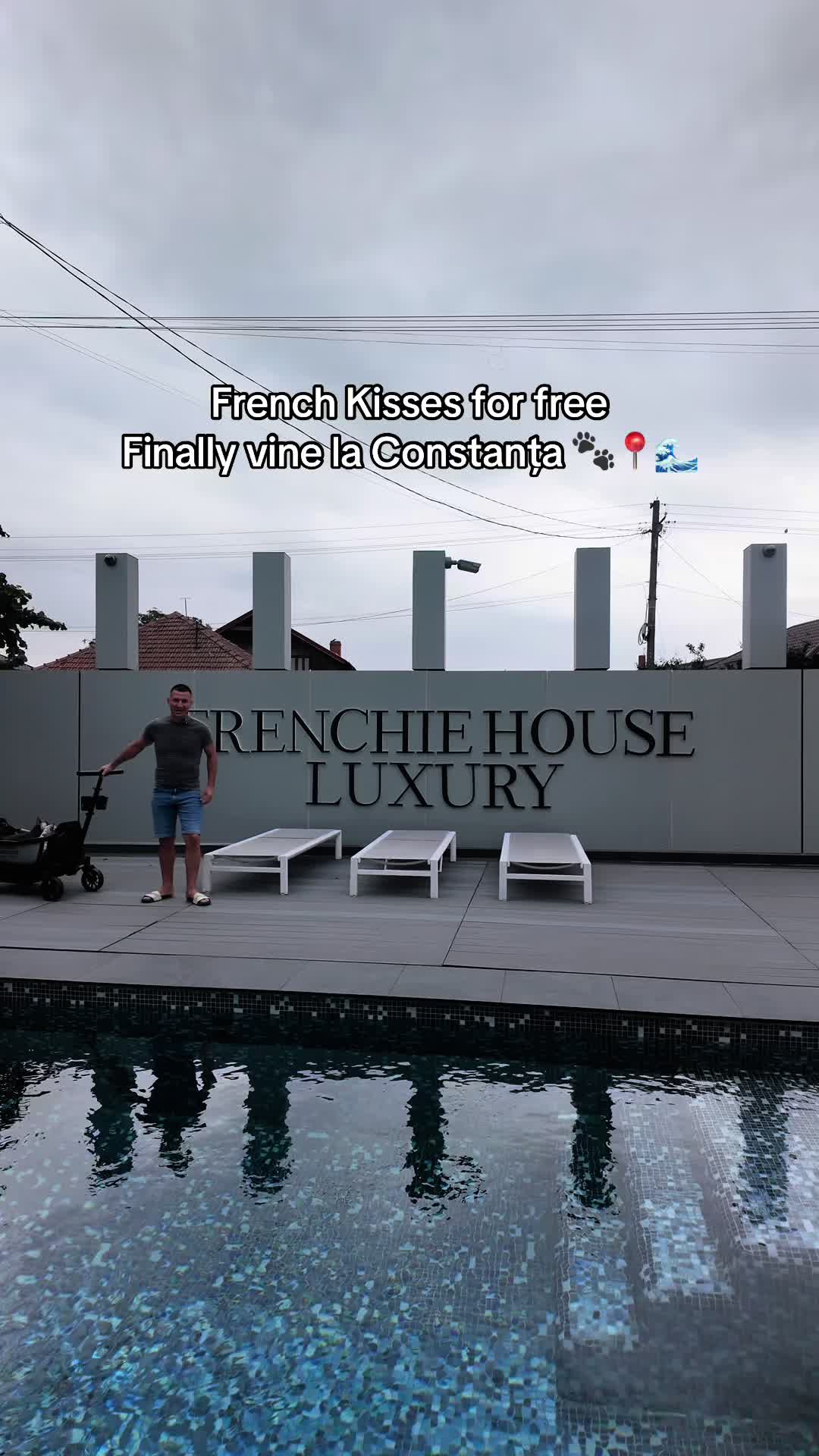 @✨Luxurious Frenchie House✨